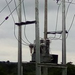 IMG-20230808-WA0027