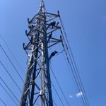 IMG-20230808-WA0049